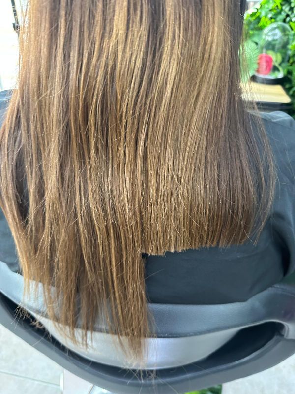 Corte de las puntas de melena larga